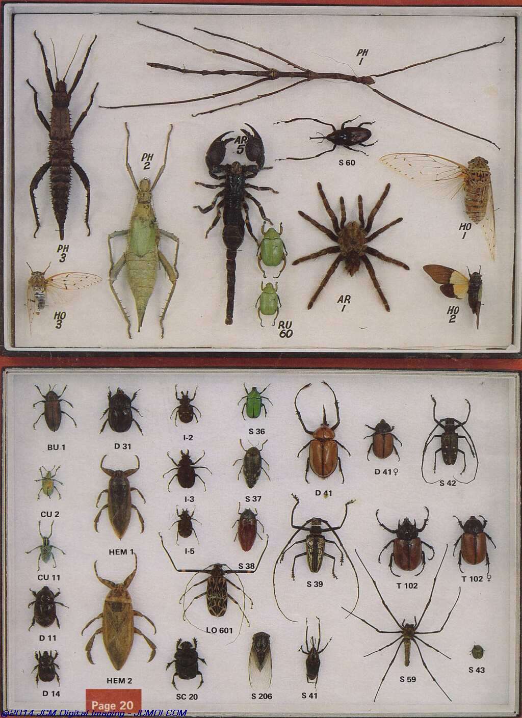 The Butterfly Company (NY) 20 page catalog 1978